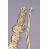 Ceinture pour caftan Noujoum - doré